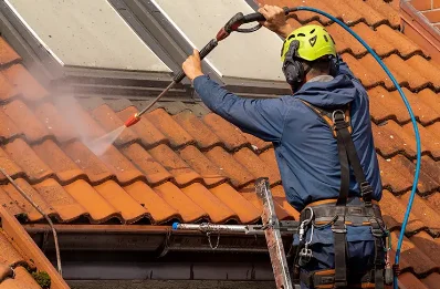 Démoussage et hydrofuge de toiture à Mornant